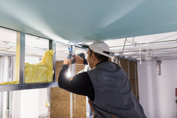 Best Cellulose Insulation in Jersey Village, TX
